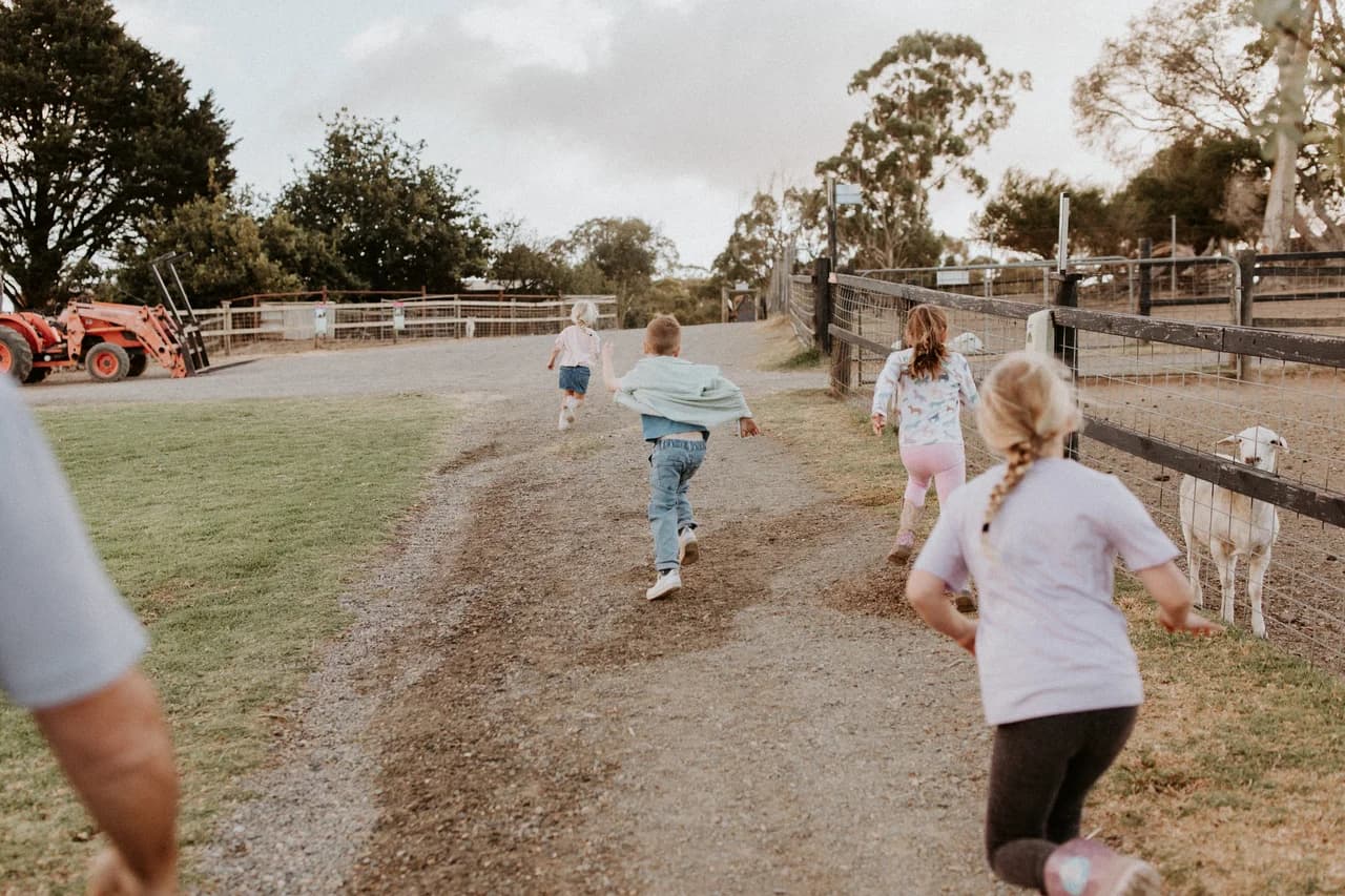 Children running down the farm track by the Pergola